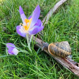 sparkly sense of wonder