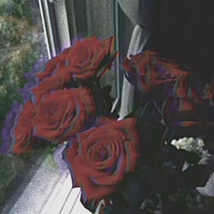 Serotonin (Prod. harvest)