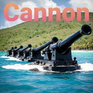 Cannon