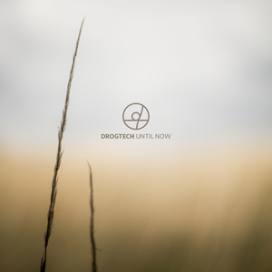 Winterly (Extended Version)