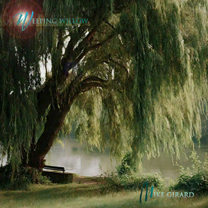 Wetlands