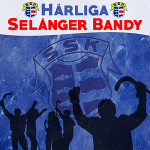 Härliga Selånger Bandy
