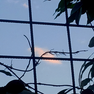 LaserTRXXX (Instrumental)