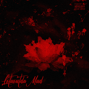 极乐鸟（Paradisea apodal）