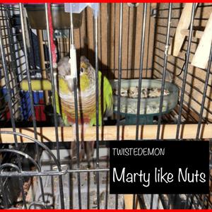 Mommy I want some Salami