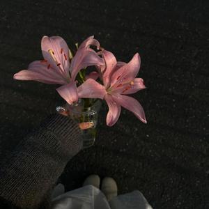 Pehli Pehli Baar Mohabbat (Lo-fi)