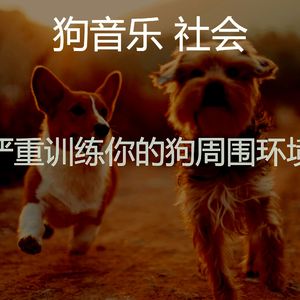 优美训练你的狗器乐