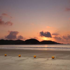 扬鞭策马踏轮回