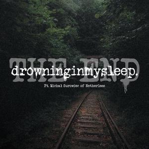 The End (feat. Michał Surowiec & Netherless)