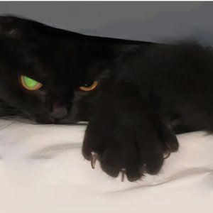 赏金排行榜（说唱学习中）