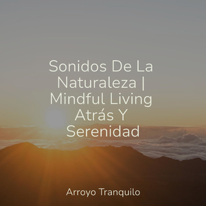 Melodías Relajantes