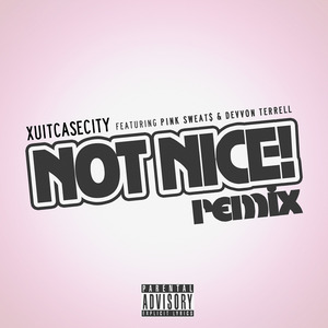 Not Nice (Remix)
