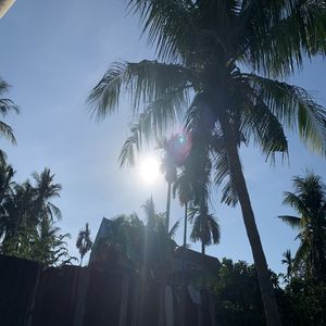 Dawn in the sky