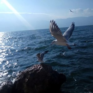 我爱你 你可不可以不要走