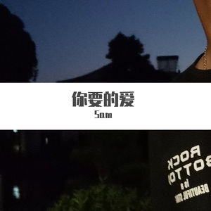 你要的爱（翻自 李荣浩）