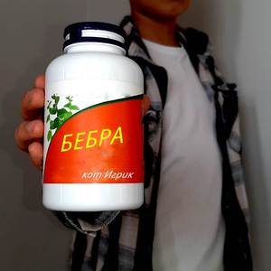 Бебра