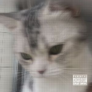 茫然(Music by Kevin Macloed)