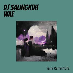 Dj Salingkuh Wae (Remix)