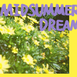 Midsummer Dream