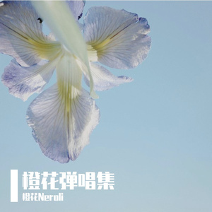 国王与乞丐