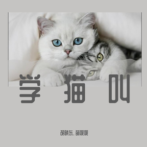 学猫叫