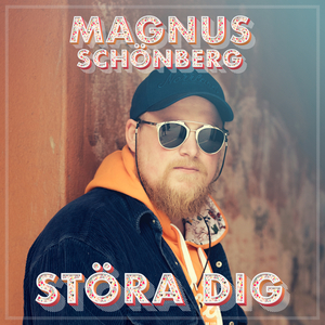 Störa Dig