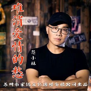 《难消爱情的愁》范小林