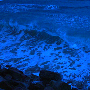 FREE“where is love?"-EMO Type Beat