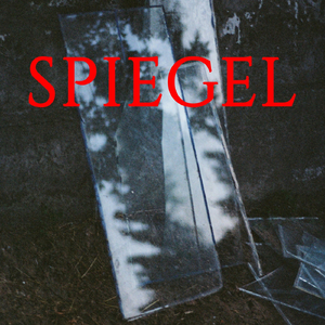 Spiegel (Wedding Sessions) [Live]