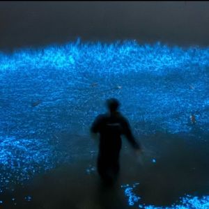 荧光海的泪(prod.by Morrow x wustin)