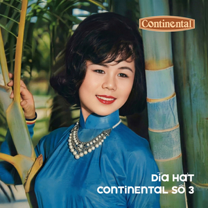 Mưa Lạnh Trên Đèo