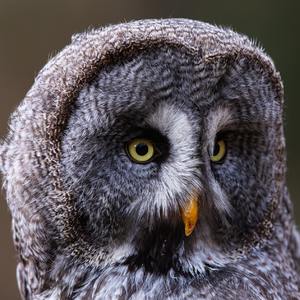 BigYear大年,Well威尔 - 夜南京（谁都别睡）伴奏