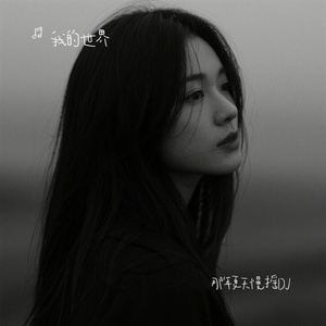 那年夏天慢摇DJ