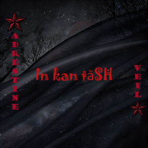 In kanˈtāsh