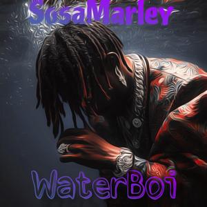 WaterBoi