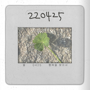 0425 (행복을 찾아서)