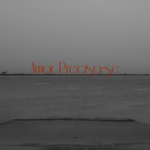Amor Precisa-se