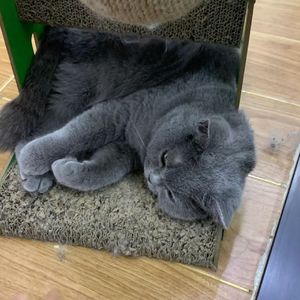 遇见你是我的光