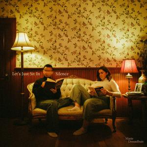 Let's Just Sit In Silence (feat. topacion)