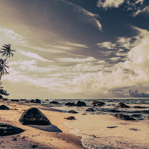 Breath Work By The Beach