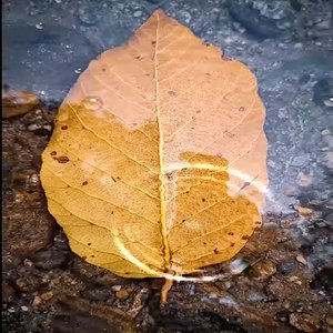 Empty Thoughts (Extended Version)