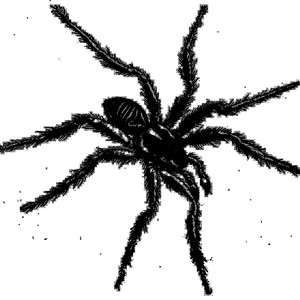 Santa Paolu Meu de Galatina (Bottin Rework)