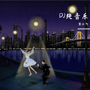 DY精选（dj纯音乐）