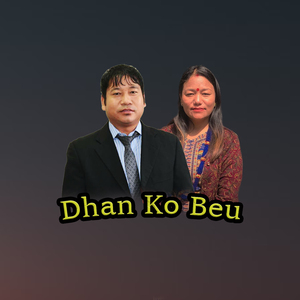 Dhan ko Beu