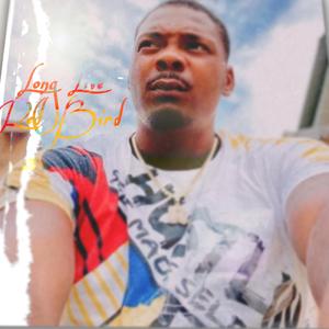 LLRB (LongLiveRedBird)