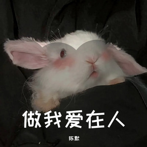 最后的人（抖音最火DJ版）