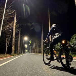 温柔的暴徒-夜帝