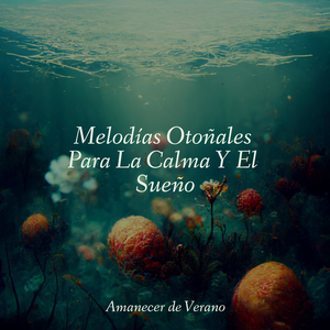 Reparando Recuerdos a la Luz de la Luna