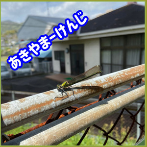 天気の良い日のうた （Acoustic.Ver）