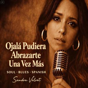 Ojala Pudiera Abrazarte Una Vez Más